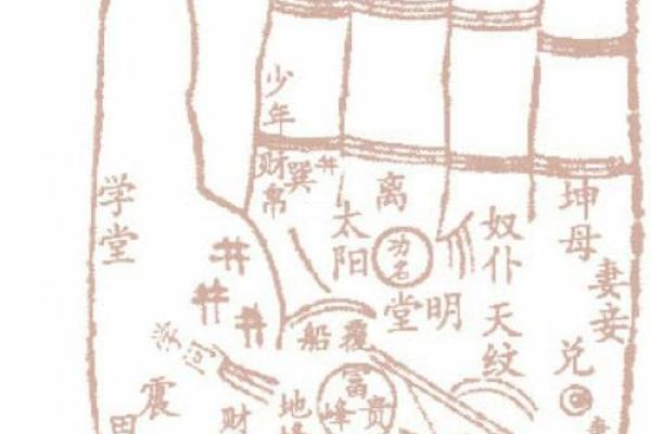 手相揭秘：金丘桃花纹，揭秘你的桃花运势