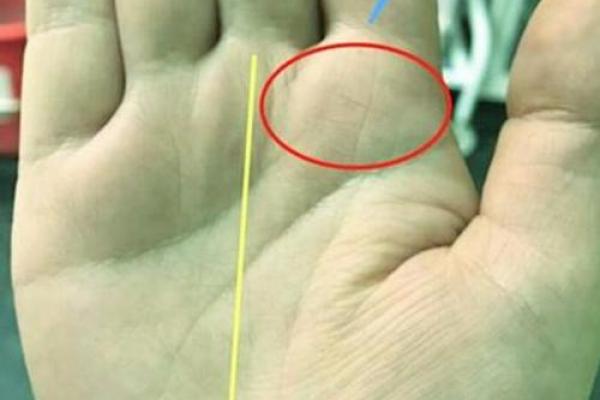 揭秘亿万富豪手相秘密：掌握财运人生的神奇密码