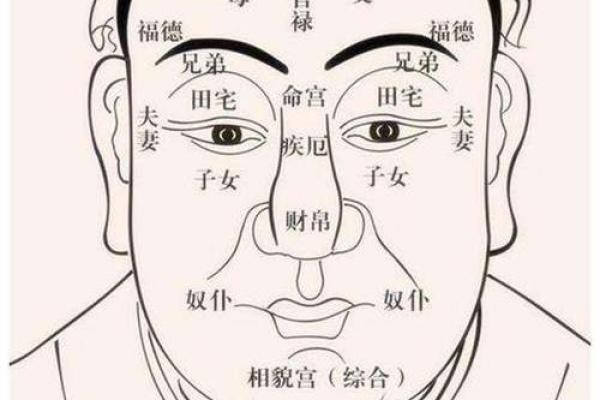 揭秘：妻子面相中的神秘魅力，让你一眼看出幸福指数