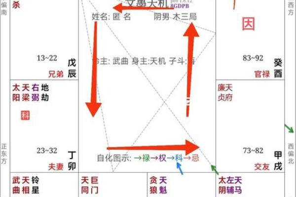 紫薇斗数盘分析：解锁人生关键转折点