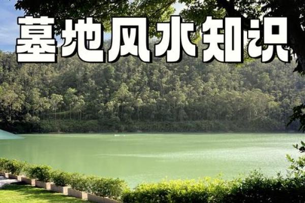 风水秘境：吞吐浮沉，揭秘家居风水运势巅峰之道