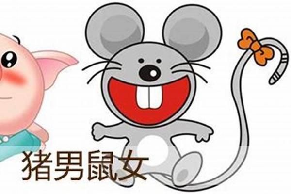 女鼠和男猪的性格差异对婚姻的影响