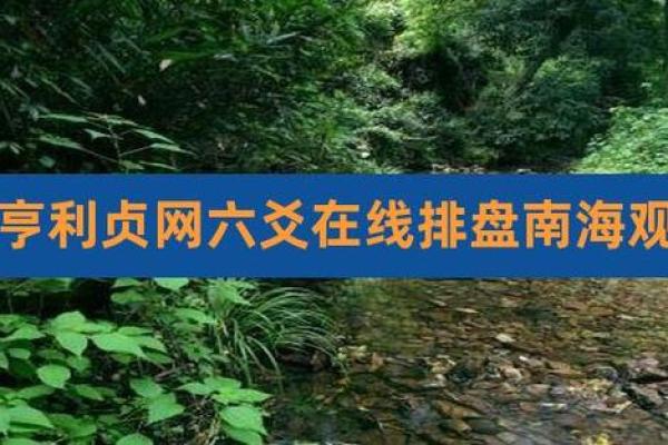 从六爻排盘看元亨利贞：如何用它为未来指引方向