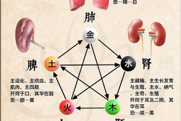 五楼是金木水火土中的哪一行？答案竟然是…