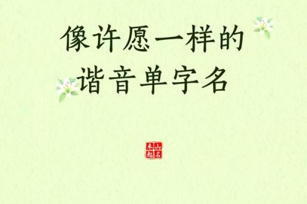 姓许的宝宝起名指南，助你轻松选定理想名字