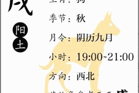 辰土命理全解析：土命人的人生轨迹与机遇