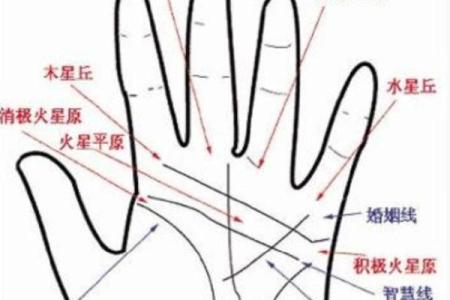 手相揭秘：金丘桃花纹，揭秘你的桃花运势