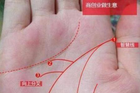 揭秘亿万富豪手相秘密：掌握财运人生的神奇密码