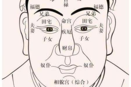 揭秘：妻子面相中的神秘魅力，让你一眼看出幸福指数