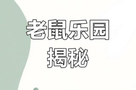 老鼠乐园大揭秘