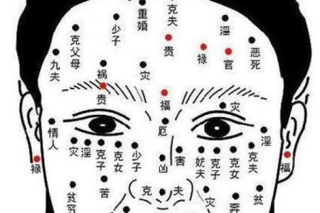 有钱女人的神秘魅力：揭秘她们独特痣相
