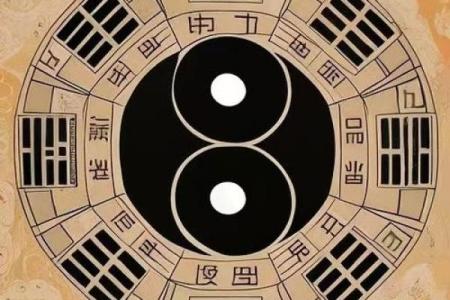 枭神主宰，天干全是枭的命运揭秘