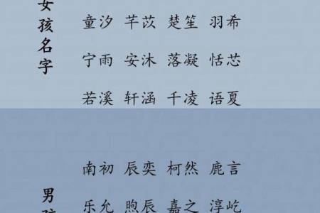 起名不难，选“轩”让名字更有韵味