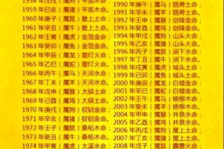 面相流年解密：揭秘运势起伏，掌握命运转折点