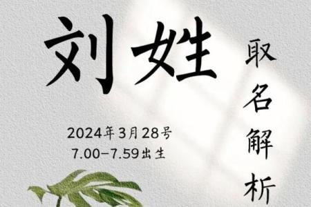 刘姓起名的独特技巧，让宝宝名字更具魅力