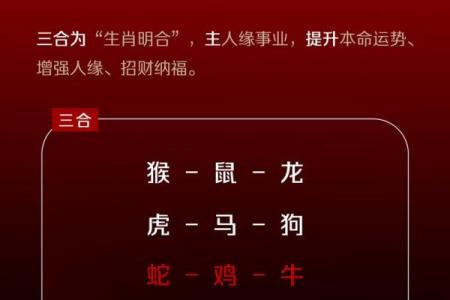 金鸡配蛇影，爱情运势旺翻天