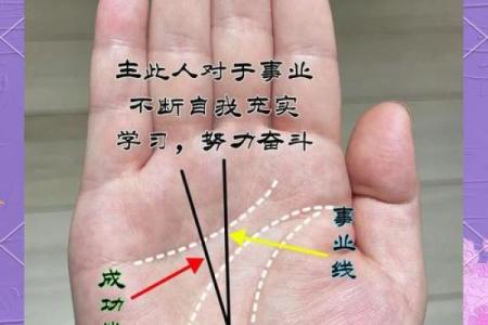 手相手特长，揭秘命运密码，轻松读懂人生轨迹