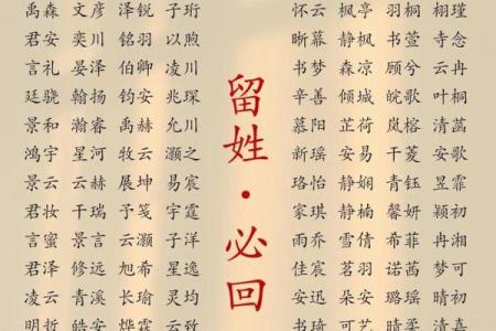 给宝宝取名，如何用川字起个有韵味的名字