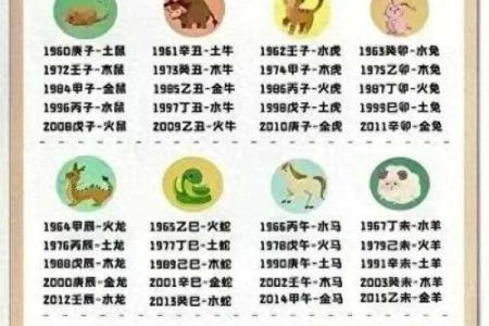 五楼是金木水火土中的哪一行？答案竟然是…
