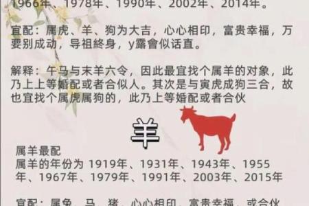 周易揭秘：婚姻属相配对，幸福指数飙升