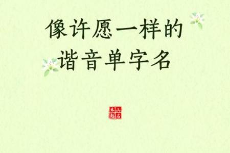 姓许的宝宝起名指南，助你轻松选定理想名字