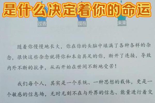 命理运途如何改变人生，专家为你解答