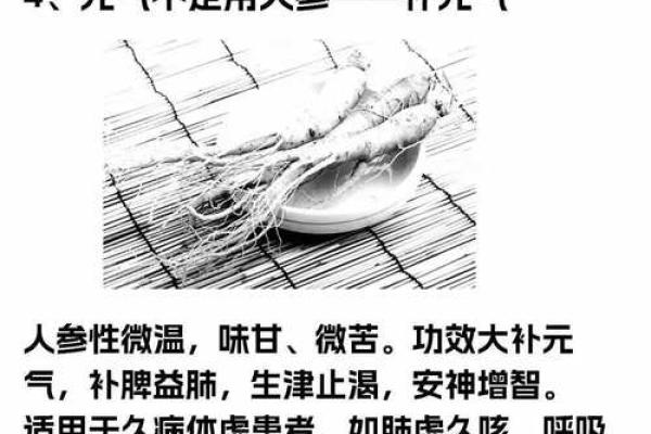 通过杨清娟命理博客探索你的人生转折点