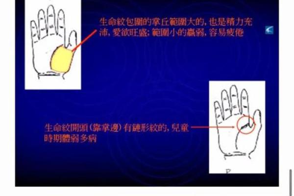 揭秘手相：掌握命运，提升运势的神秘秘籍