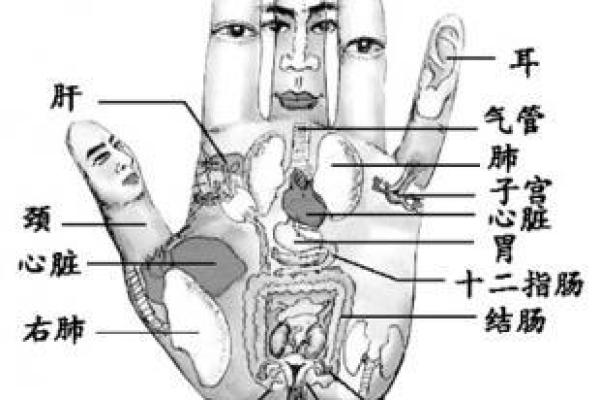 了解旧历天干：命运中的关键密码