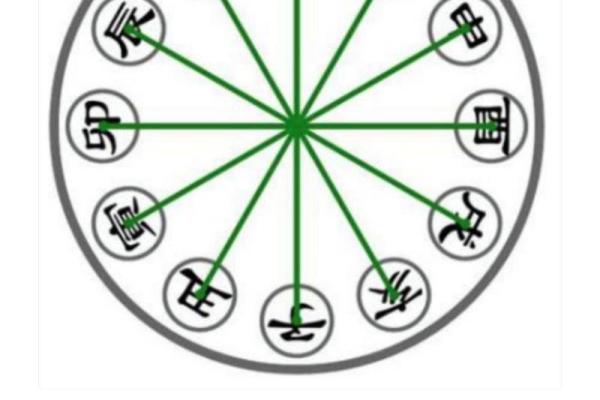 从天干相克到地支相合，命理中的关键元素解析