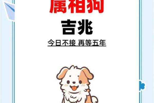 狗年运势大揭秘：这些属相与狗狗最般配