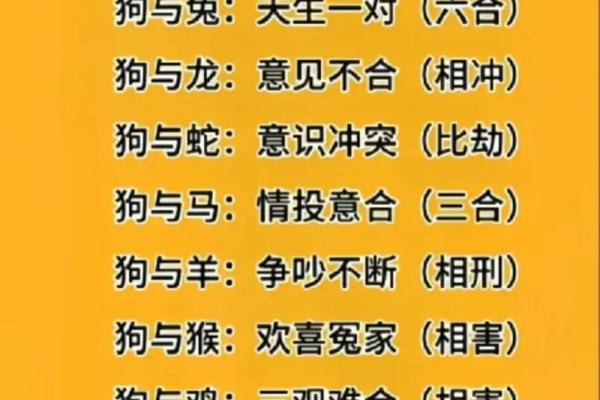狗年运势大揭秘：这些属相与狗狗最般配
