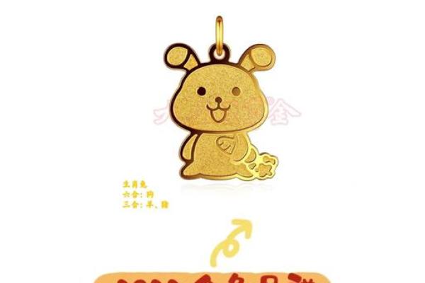 九五至尊，生肖风云，揭秘生肖运势巅峰