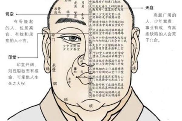 面相揭秘：眉宇间蕴藏的运势秘密