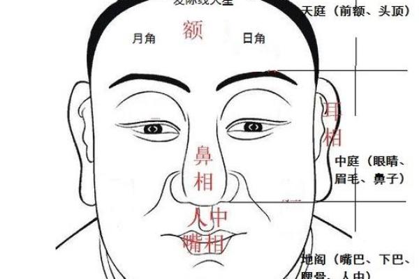 面相揭秘：震宫之谜，揭秘你的命运密码