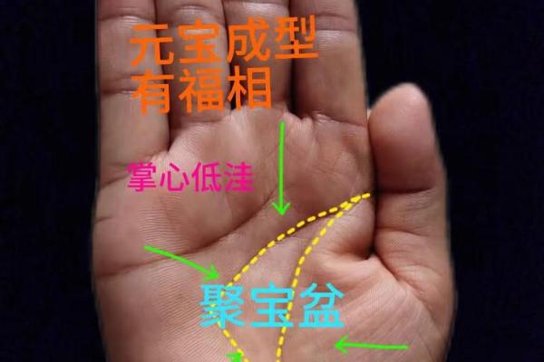 揭秘手相奥秘：事业线女大全图解，让你财运亨通，事业有成