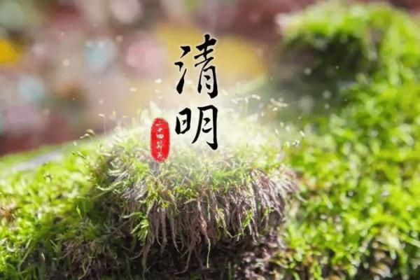 清明祭扫寄哀思，踏青赏花正当时
