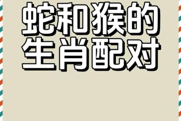 猴年牛月，天生一对，揭秘生肖相配秘籍