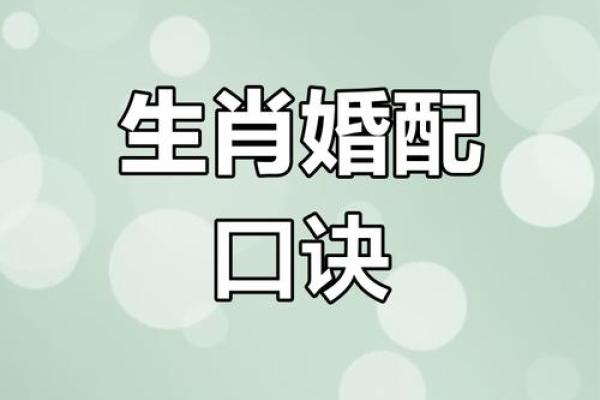 猴年牛月，天生一对，揭秘生肖相配秘籍
