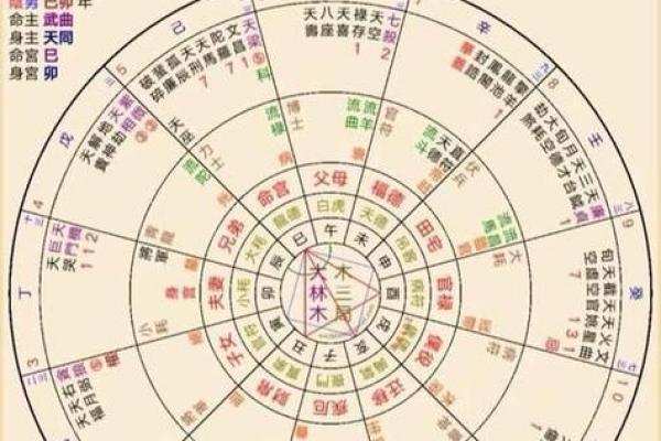 深度解析紫薇排盘命格：你命中注定的运势如何变化