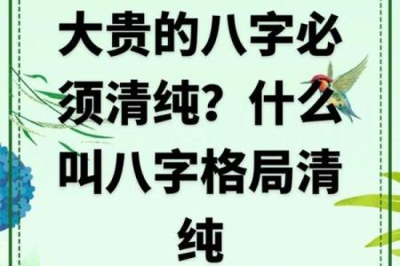 大富八字详解：从八字看你的财富运势