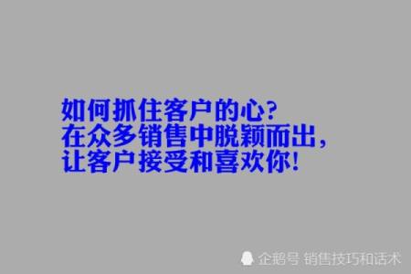 C公司命名技巧，瞬间抓住客户的心