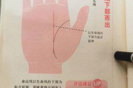 揭秘手相：掌握命运，提升运势的神秘秘籍