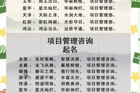 如何为企业管理咨询公司起个既专业又有创意的名字