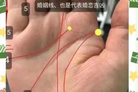子女手相揭秘：明星子女的运势密码，你家孩子手相如何？