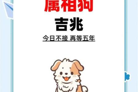 狗年运势大揭秘：这些属相与狗狗最般配
