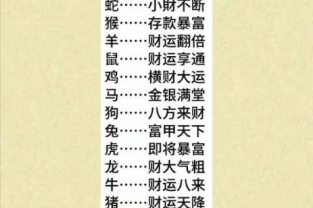 九五至尊，生肖风云，揭秘生肖运势巅峰