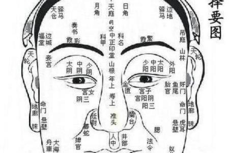 面相揭秘：眉宇间蕴藏的运势秘密