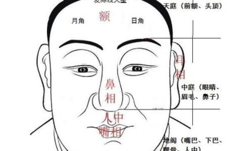 面相揭秘：震宫之谜，揭秘你的命运密码
