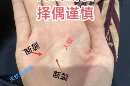 左手财富右手爱情，揭秘手相中的神秘密码